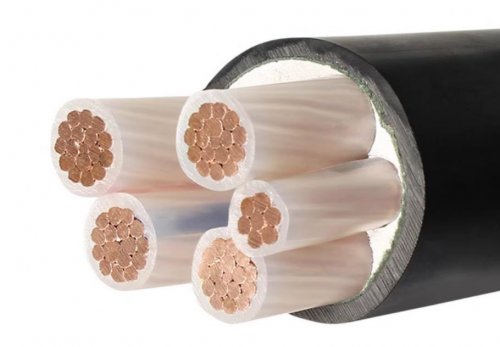 冠缆电力电缆